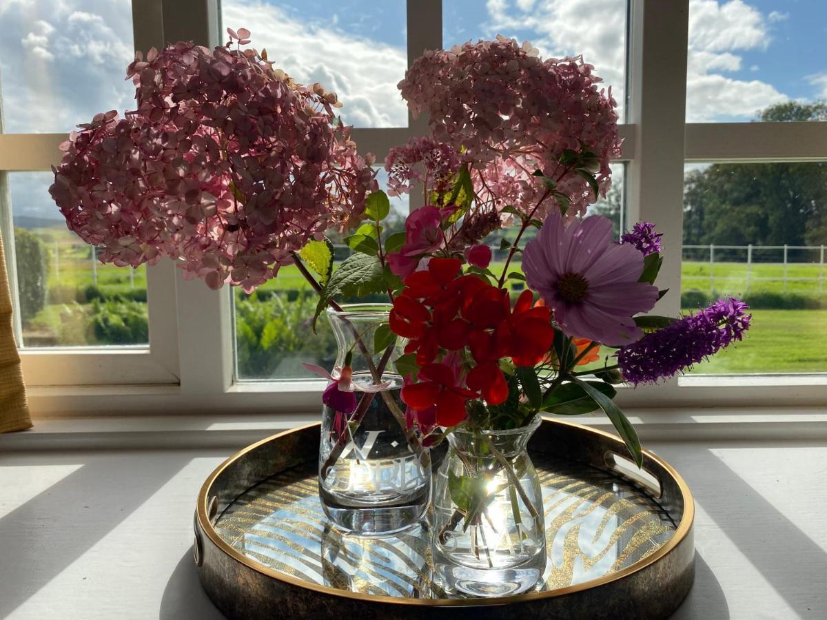 South Craighall B&B Eaglesham ภายนอก รูปภาพ