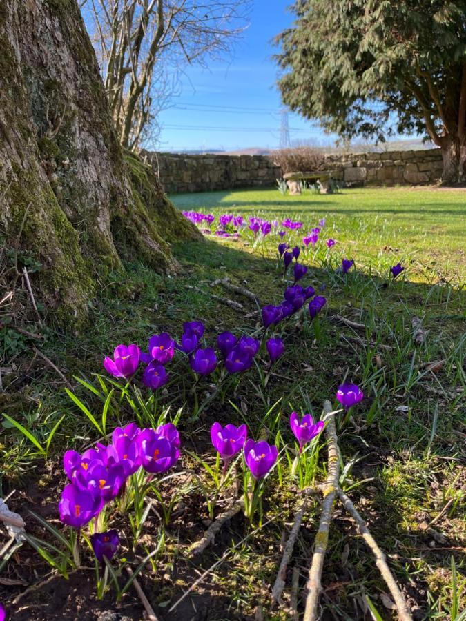 South Craighall B&B Eaglesham ภายนอก รูปภาพ