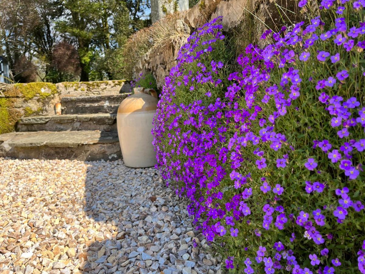 South Craighall B&B Eaglesham ภายนอก รูปภาพ