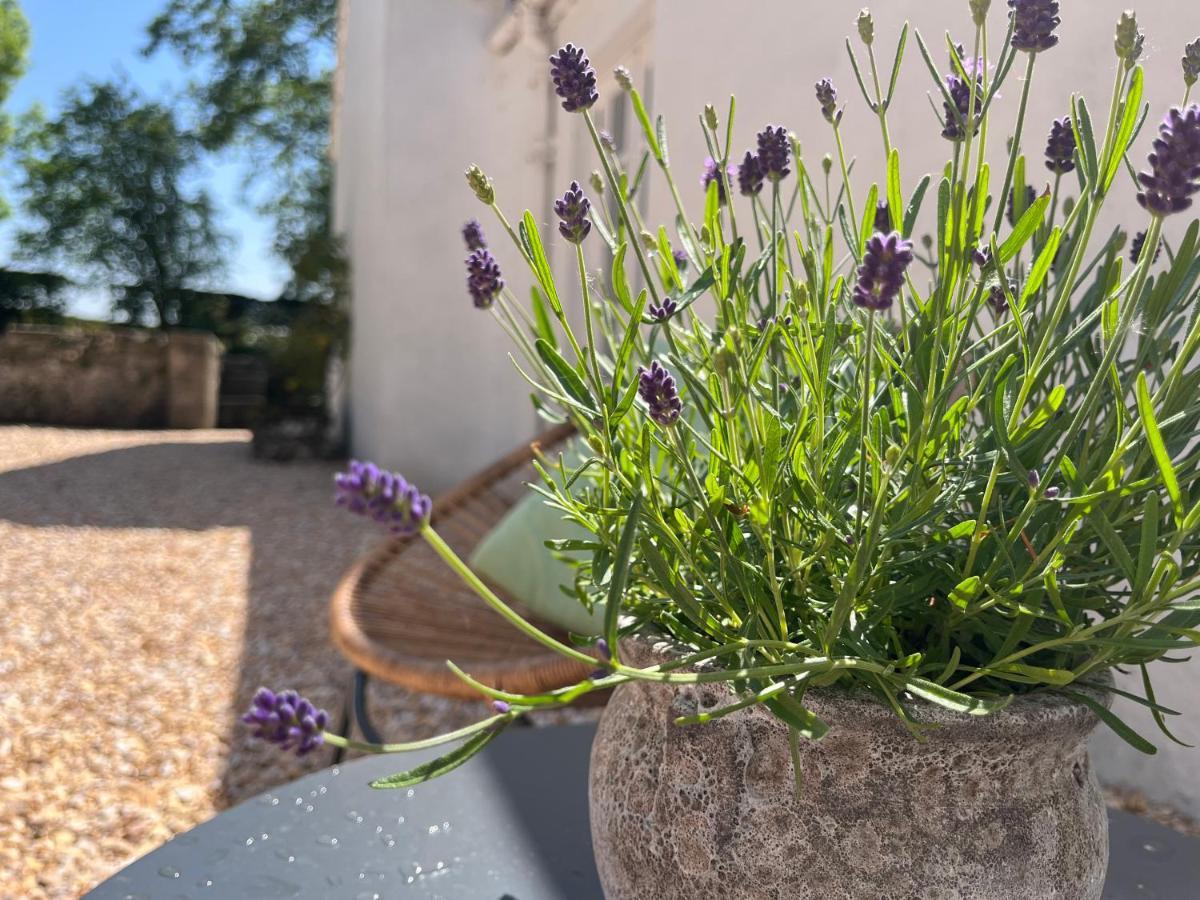 South Craighall B&B Eaglesham ภายนอก รูปภาพ